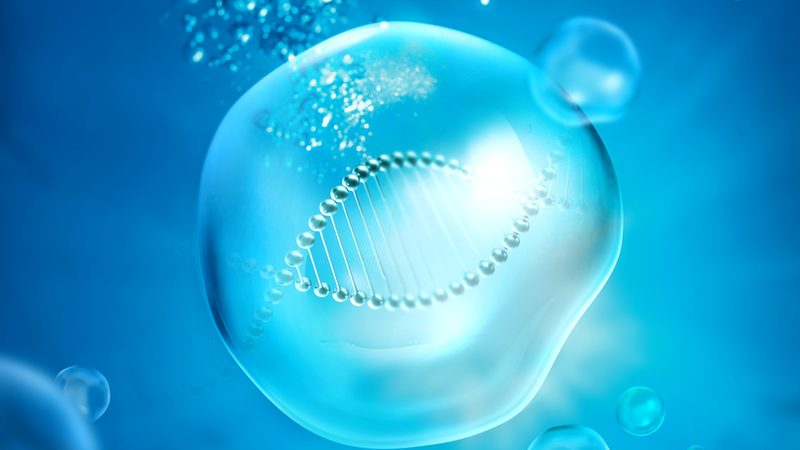 生物医药外包流程：揭秘合规与效率的双重保障