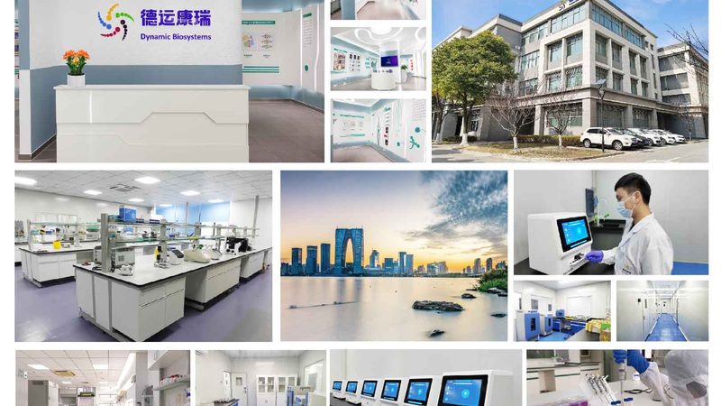 DMEM培养基：揭秘其背后的科学奥秘与应用**