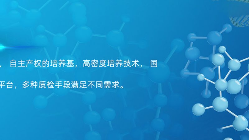 细胞工厂操作规范：构建高效生产线的关键要素**