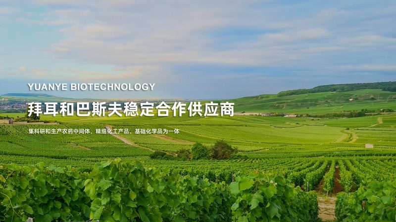 湿度与CO2浓度也是细胞培养的重要参数。以下是一些注意事项：