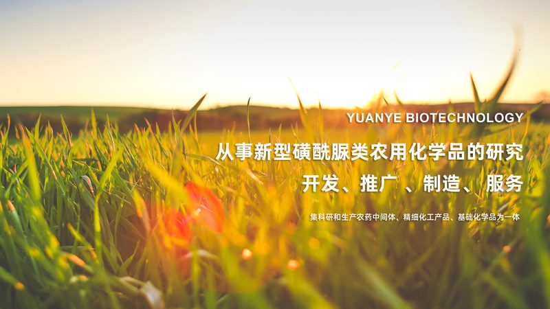肿瘤基因检测公司推荐哪家靠谱