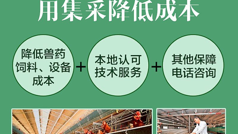 引物合成纯化规格参数