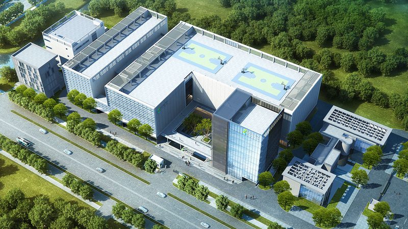 低糖DMEM培养基型号解析：揭秘其差异与应用