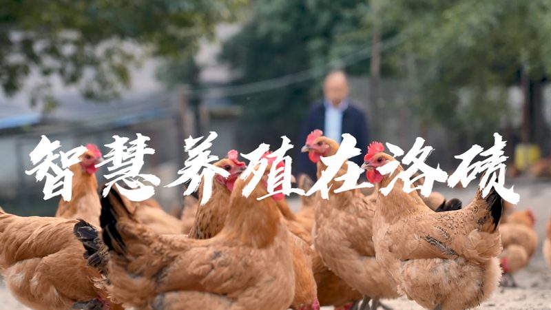 PCR试剂盒代理加盟，你准备好了吗？**