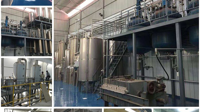 成都CDMO商业模式：揭秘定制研发背后的力量