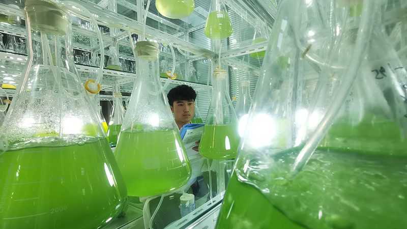 广州生物科技产品加盟代理：如何规避潜在风险**
